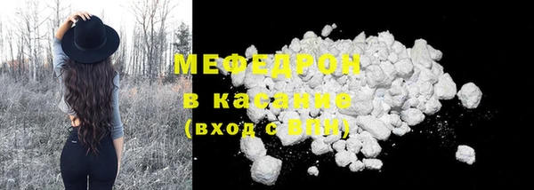 шишки Надым