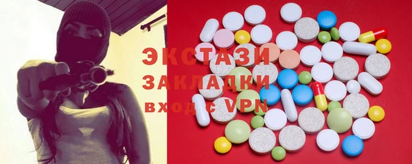 шишки Надым