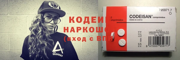 шишки Надым