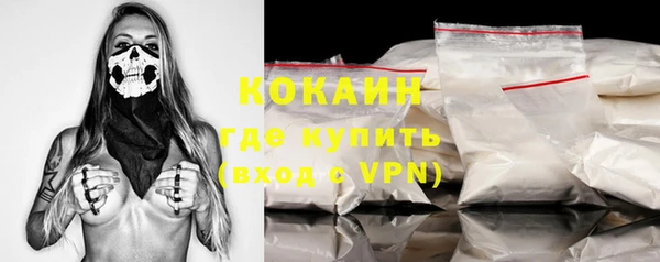 шишки Надым