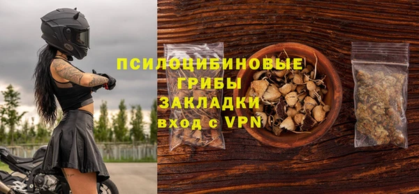 шишки Надым