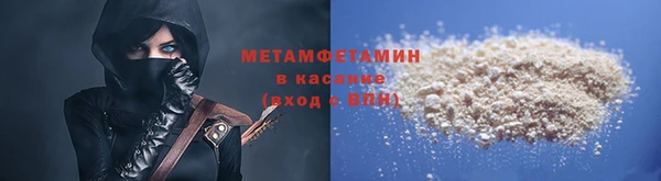 шишки Надым