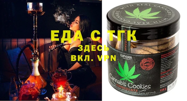 шишки Надым