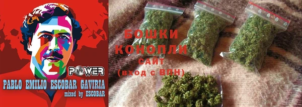 шишки Надым