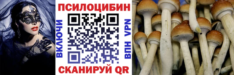 Псилоцибиновые грибы Magic Shrooms Удомля